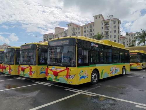 177辆金龙智慧安全公交车海口上线 助力海口实现全新能源公交时代