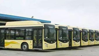春节期间公交车运营时间 车次有变化了